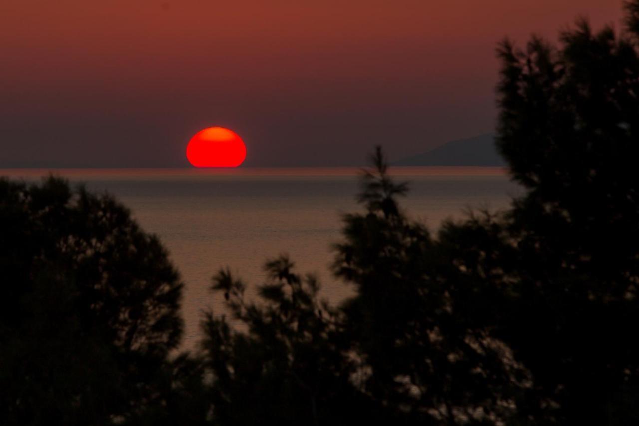 Aparthotel Pecic Gradac  Exteriör bild